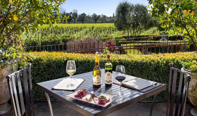 Outdoor table with wine and snacks overlooking a vineyard.