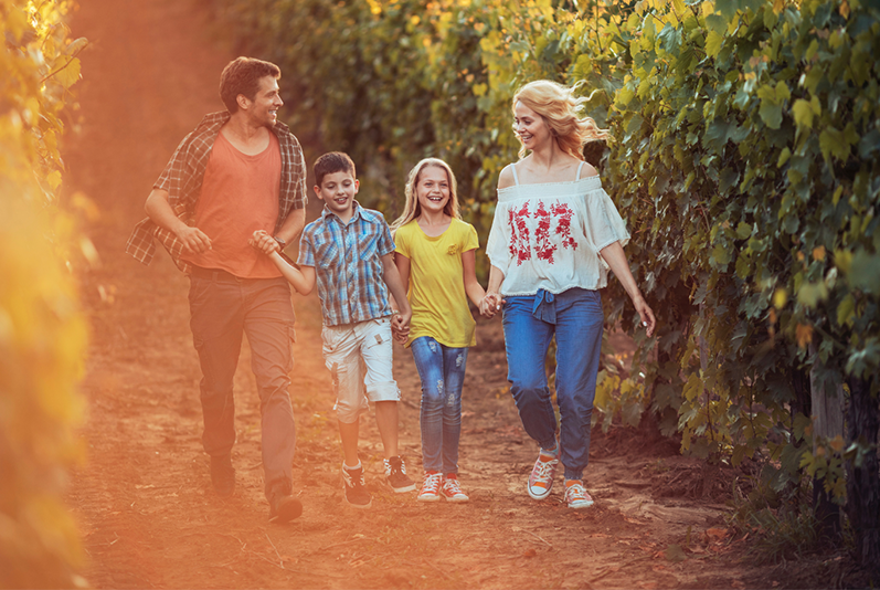 Family taking a vineyard walk.